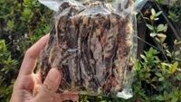 Kelezatan Tradisional: Mengenal Berbagai Jenis Sale Pisang Banyuwangi
