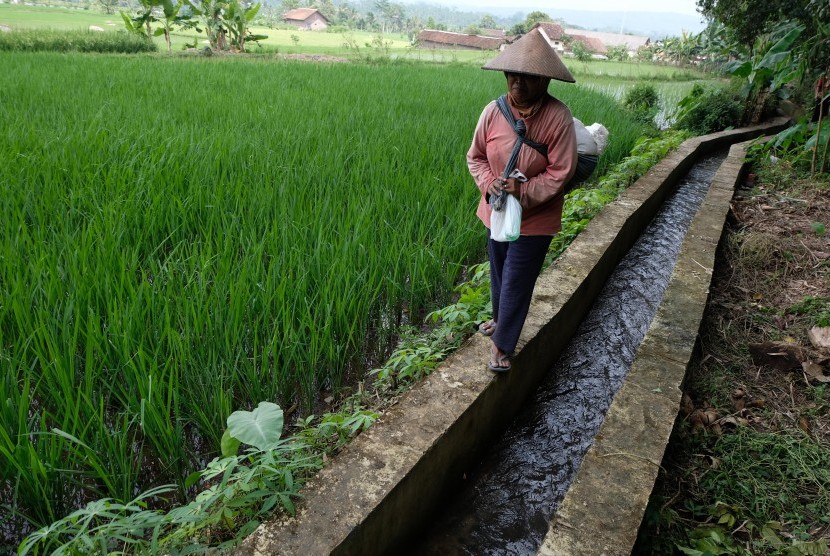 Dinas PU Banyuwangi Pastikan Irigasi Aman Selama Musim Kemarau