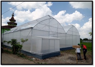 Mewujudkan Ketahanan Pangan, Dispertan Banyuwangi Buat Inovasi Green House