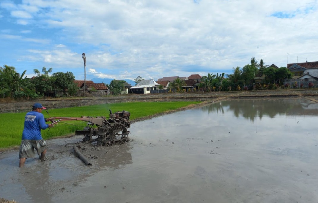 Menghadapi Kekeringan, Dewan Desak Eksekutif Bangun Sumur Bor untuk Petani Banyuwangi