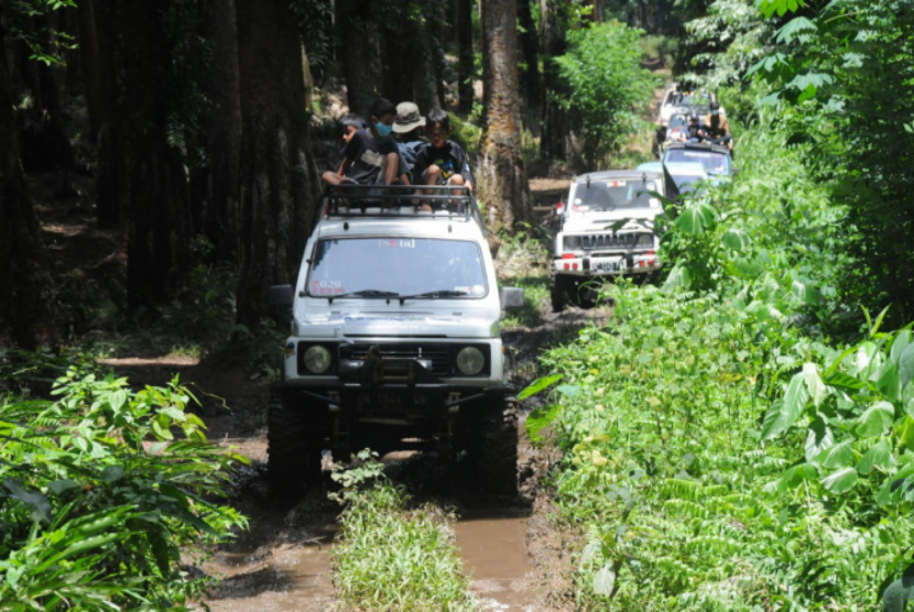 Wisata Asik Jelajah Hutan Pinus Banyuwangi Bareng Tour Jeep dan Rafting 