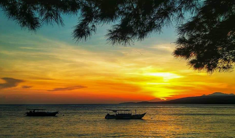 Bangsring Underwater Banyuwangi, Wisata Bawah Laut Cocok untuk Liburan
