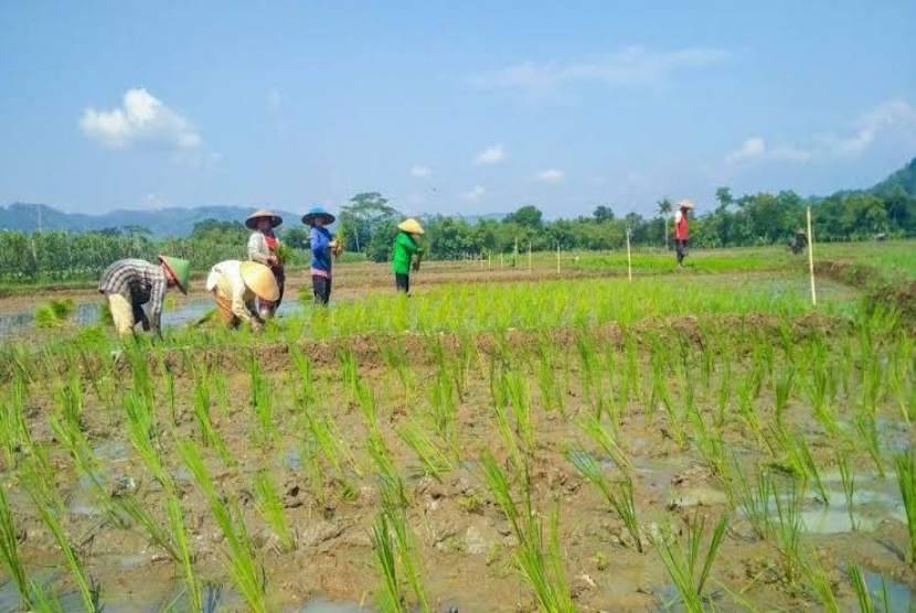 Prioritas Kebutuhan Utama Pasokan Air Lahan Pertanian 