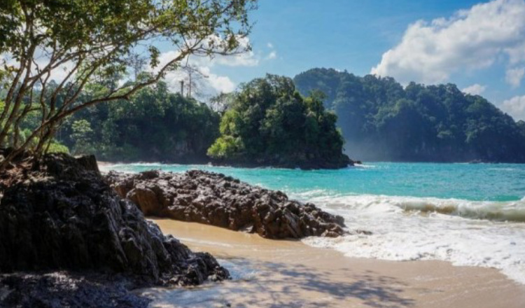 Keindahan Bawah Laut Teluk Hijau Banyuwangi Sungguh Indah, Penasaran?
