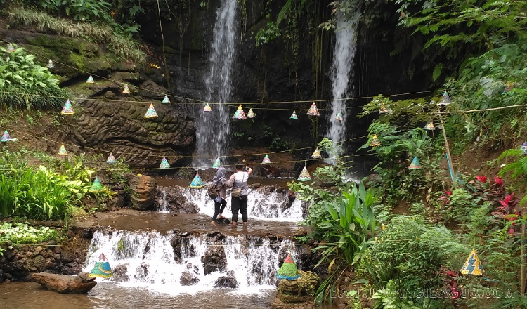 Air Terjun Eksotik Dibalik Belantara Hutan Pinus di Banyuwangi