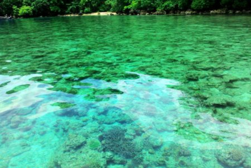 Pantai Teluk Biru Wisata Bahari Banyuwangi 