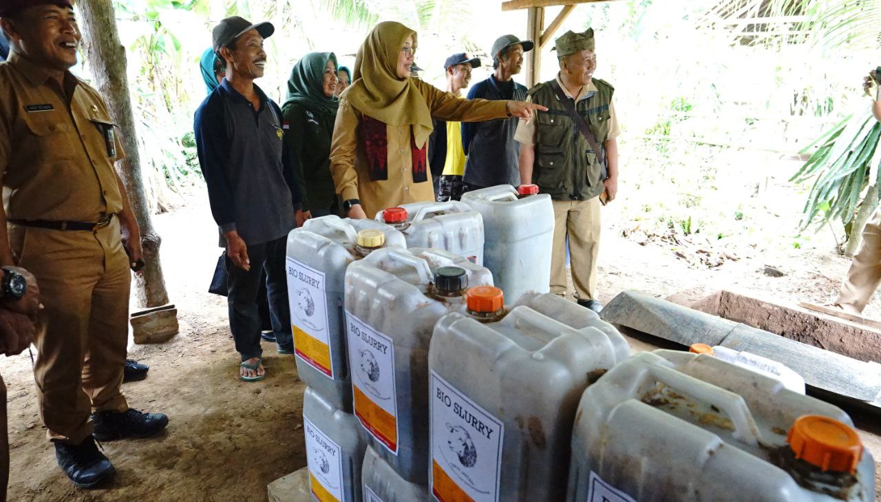 Inovasi Pertanian: Bio-Slurry Tingkatkan Kesuburan Tanah di Banyuwangi