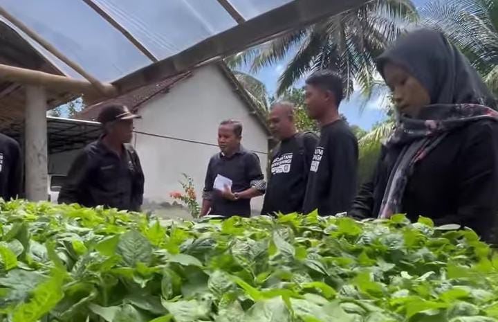 Jagoan Tani Banyuwangi 2024: Penilaian Detail untuk Mendukung Pertanian Berkelanjutan