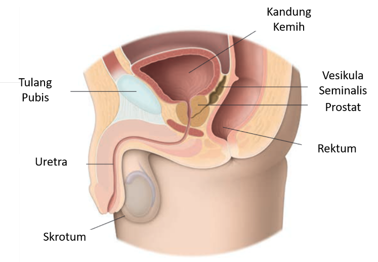 RSUD Genteng Tingkatkan Keamanan Operasi Prostat dengan Teknologi Bipolar