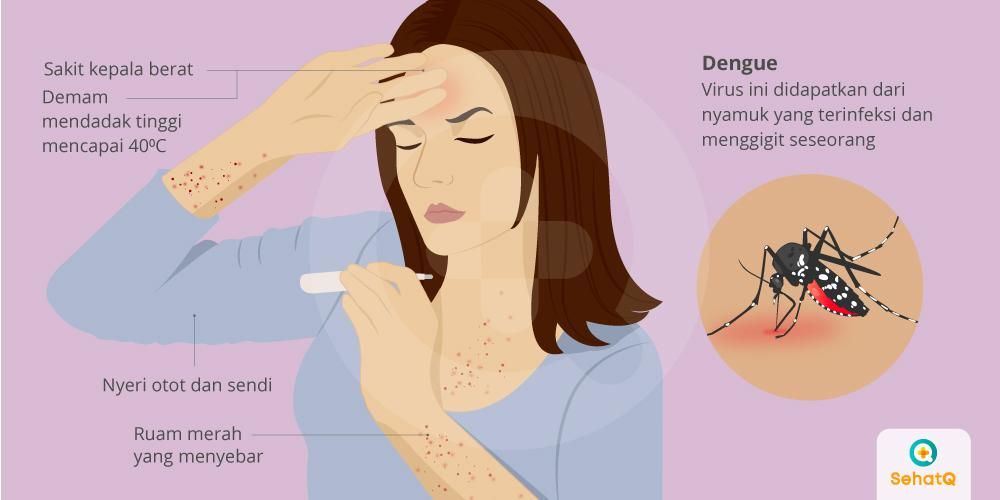 Dinkes Siaga, Masyarakat Diminta Bersinergi Lawan Demam Berdarah